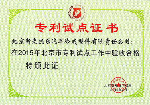 Patent Pilot Certificate